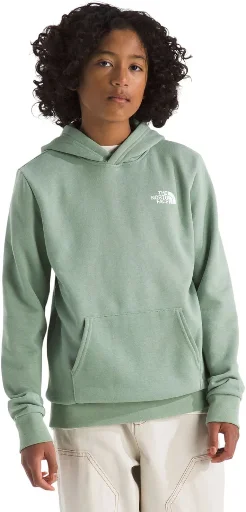 The North Face Kids' Graphic Evolution Box Pullover Hoodie Deal