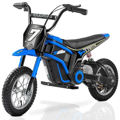 Electric Dirt Bike 24V w/LED Power Display Deal