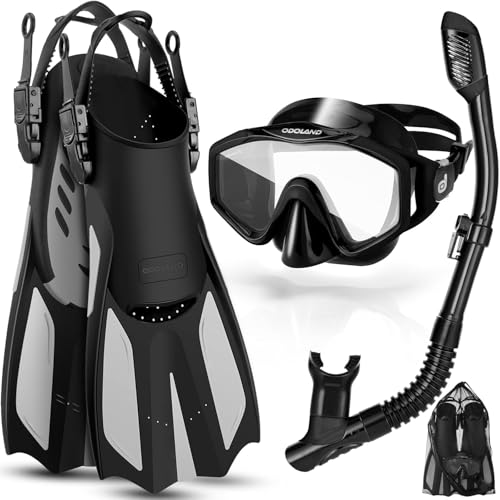 Snorkel Set with Dry Top Diving Mask Deal