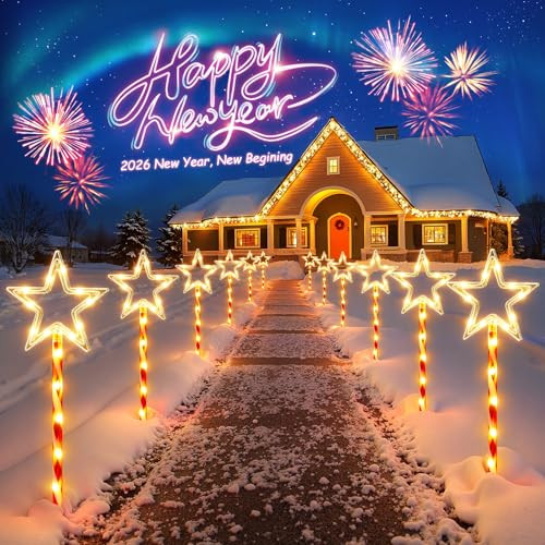 Rechoo Outdoor Twinkling Big Star Solar Christmas Lights 12-Pack