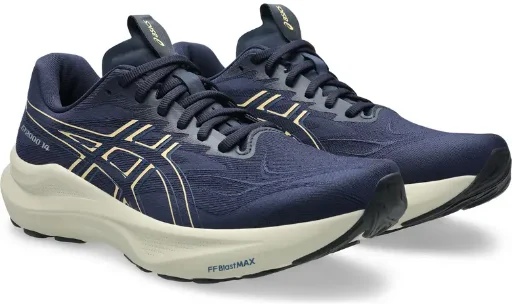 ASICS GT-2000 14 Running Shoe