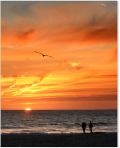 CVS Photo 16 x 20 Repositionable Posters Deal