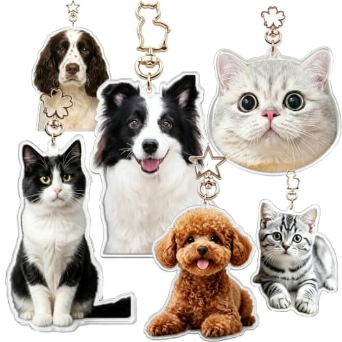 Personalized Acrylic Pet Keychains Deal