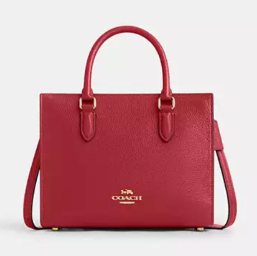 Coach Maggie Small Tote Bag