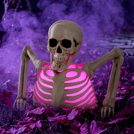 Halloween Lighted Skeleton Indoor/Outdoor Decoration
