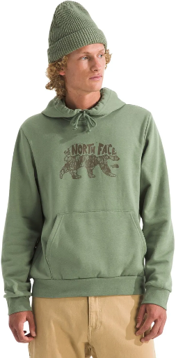 The North Face Men's Evolution Bear Graphic Hoodie Deal