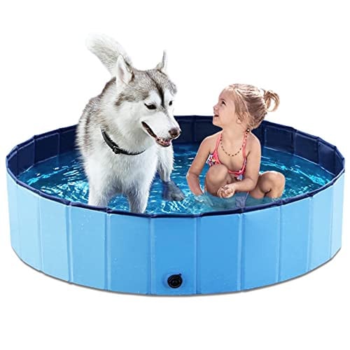 48" Foldable Dog Pool Deal