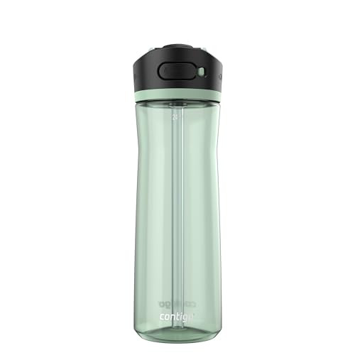 Contigo Ashland 24-Oz Straw Water Bottle