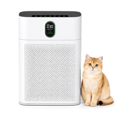 Honeyuan HY4866 Air Purifier - up to 3000 Sq Ft Deal