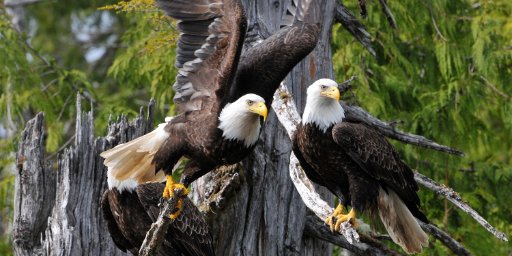 7-Night Alaska Cruise, Seattle Departure