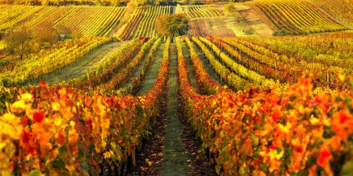 France Weeklong River Cruise from Bordeaux