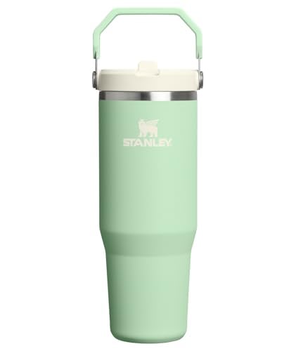 STANLEY IceFlow 2.0 Flip Straw Tumbler, 30 oz Deal