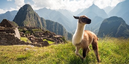 Peru Weeklong Tour Package including Flights