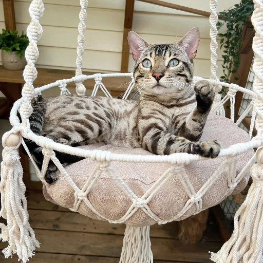 Bohemian Style Cat Hammock & Bed Deal
