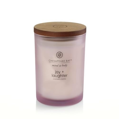 Chesapeake Bay Candle Medium Jar Candle Deal