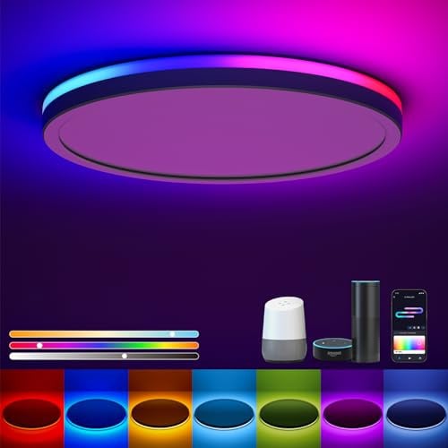 Matane Smart LED Ceiling Light WiFi 12IN RGB Flush Mount Light Fixture