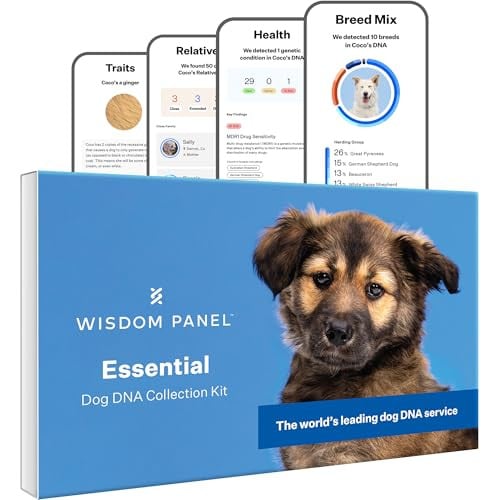Wisdom Panel Essential Dog DNA Testing Kit Deal
