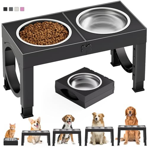 Elevated Dog Bowls for Medium Dogs