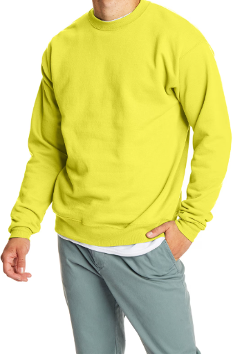 Hanes Men's EcoSmart Fleece Sweatshirts