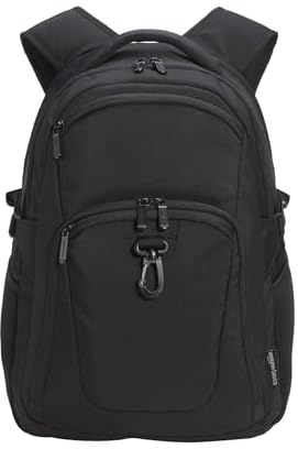 Amazon Basics Travel Laptop Backpack for 15.6 inch Laptop
